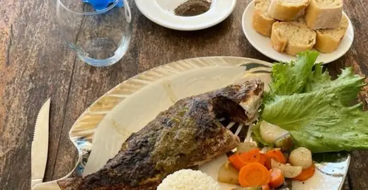 Aperçu Sénégal