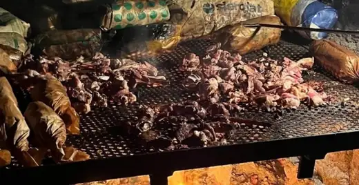 Aperçu Sénégal