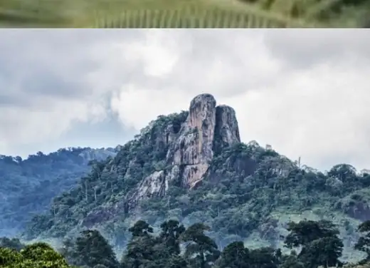 Aperçu Côte d'Ivoire